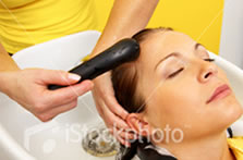 /laross/Shampoo_4906094