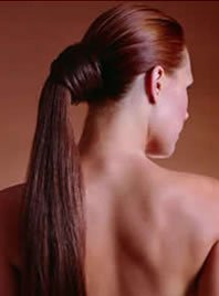 /laross/poneytail